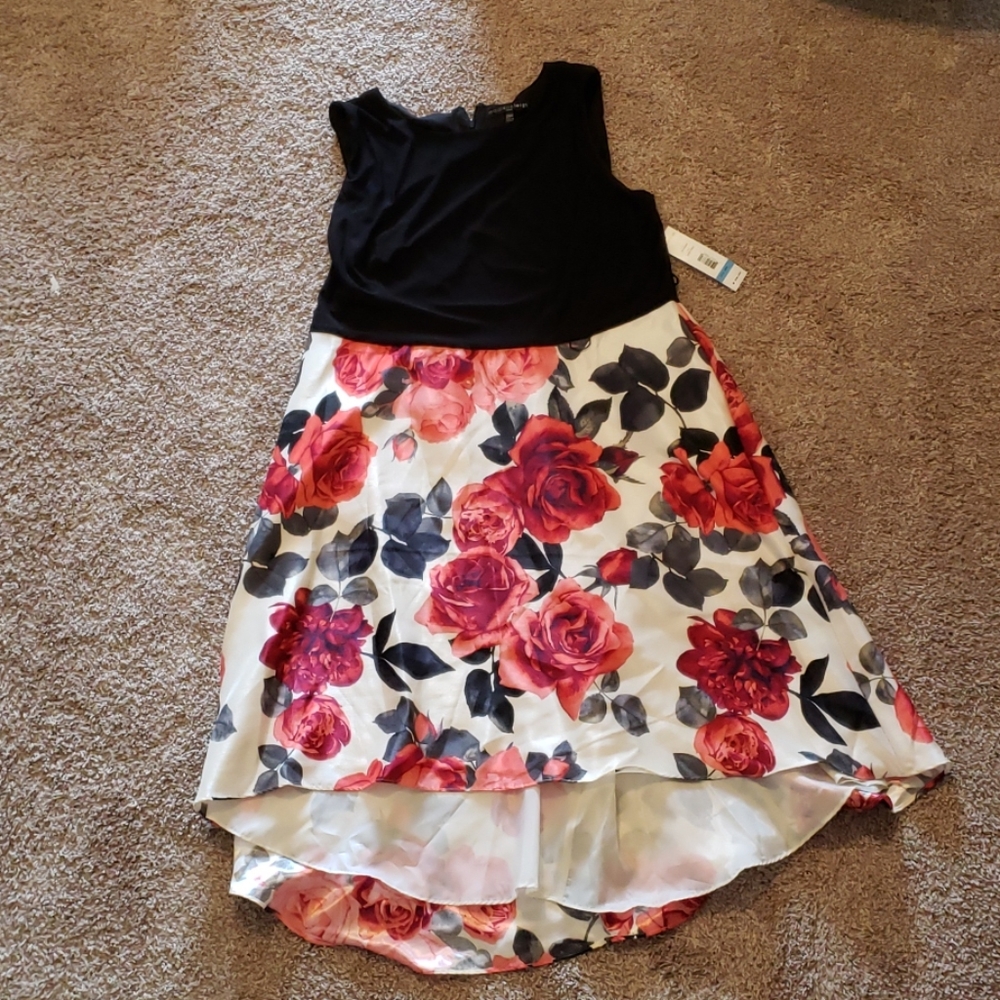 Beautiful Dress